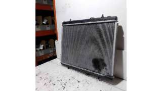 CAUDALIMETRO NISSAN INTERSTAR FURGÓN (2003-) DCI 100 99CV 2464CC - L.5604650 / 53116