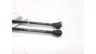 AMORTIGUADORES MALETERO / PORTON RENAULT CLIO IV (2012-) 1.2 16V 73CV 1149CC - L.5615209 / 844308661R