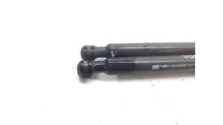 AMORTIGUADORES MALETERO / PORTON RENAULT CLIO IV (2012-) 1.2 16V 73CV 1149CC - L.5615209 / 844308661R