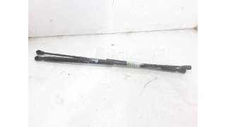 AMORTIGUADORES MALETERO / PORTON FIAT STILO MULTI WAGON (2005-2008) 1.9 D MULTIJET 120CV 1910CC - L.5617609 / 018421