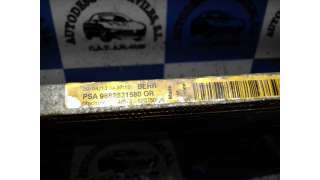 PILOTO TRASERO IZQUIERDO RENAULT MEGANE I (1996-1999) 1.6 E (BA0F, BA0S) 90CV 1598CC - L.5658153 / 7700828137