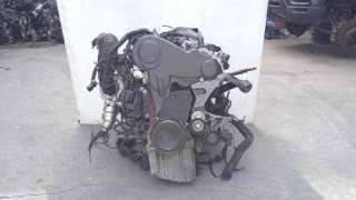 GUARNECIDO PUERTA DELANTERA DERECHA RENAULT CLIO IV (2012-) 0.9 TCE 90 90CV 898CC - L.5659930 / 809003255R