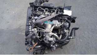 ALTERNADOR FORD FOCUS II (2004-2012) 1.6 100CV 1596CC - L.5678827 / MS1022118354 2