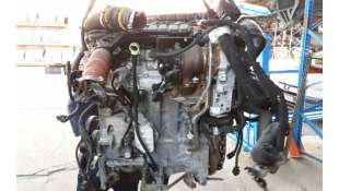 AMORTIGUADOR TRASERO DERECHO NISSAN QASHQAI II TODO TERRENO, CERRADA (2013-) 1.2 DIG-T 115CV 1197CC - L.5685912 / 562104EA3 2