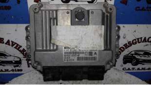 WARNING NISSAN X-TRAIL (2007-2013) 2.0 DCI 4X4 150CV 1995CC - L.5742670 / 06016