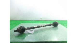TRANSMISION DELANTERA DERECHA VOLKSWAGEN JETTA III (2005-2010) 1.9 TDI 105CV 1896CC - L.5798519 / 1K0407272EC