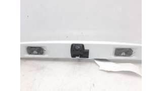 PILOTO MATRICULA FORD ECOSPORT (2013-) 1.0 ECOBOOST 125CV 998CC - L.5799815 / 6M2A13550AC