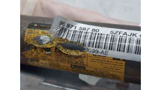 AIRBAG CORTINA DELANTERO IZQUIERDO CITROEN DS4 (2011-2015) 2.0 HDI 165 163CV 1997CC - L.5800263 / 9687158780