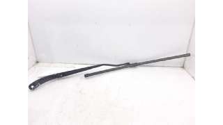 BRAZO LIMPIA DELANTERO IZQUIERDO CITROEN DS4 (2011-2015) 2.0 HDI 165 163CV 1997CC - L.5813980 / 9687494480