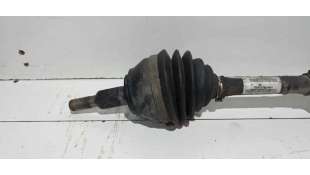 PILOTO TRASERO DERECHO SEAT TOLEDO II (1998-2004) 1.6 100CV 1595CC - L.5909095 / 1M5945096B 2