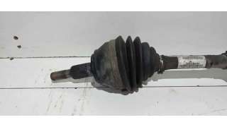 PILOTO TRASERO DERECHO SEAT TOLEDO II (1998-2004) 1.6 100CV 1595CC - L.5909095 / 1M5945096B