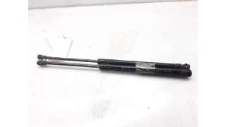 AMORTIGUADORES MALETERO / PORTON CHEVROLET MATIZ (2005-2011) 1.0 LPG 67CV 995CC - L.5921082 / 96666915