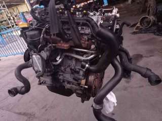 GUARNECIDO PUERTA DELANTERA IZQUIERDA BMW 1 (2006-2011) 8 D 43CV 995CC - L.5922469 / 51416975305