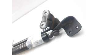 AMORTIGUADORES CAPO HYUNDAI TERRACAN (2001-2008) - L.5979502 / 8115060