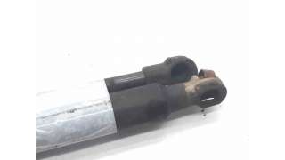 AMORTIGUADORES MALETERO / PORTON CITROEN XSARA BREAK (1999-2005) 2.0 HDI 90 90CV 1997CC - L.5983505 / 8731E4