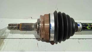 AMORTIGUADORES MALETERO / PORTON BMW 3 COUPÉ (2000-2006) 320 CI 170CV 2171CC - L.6076044 / 51248254281 2