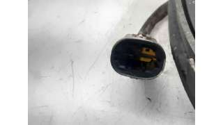 ELECTROVENTILADOR CITROEN XSARA (1998-2005) 1.9 D 70CV 1868CC - L.6103842 / 9643520680