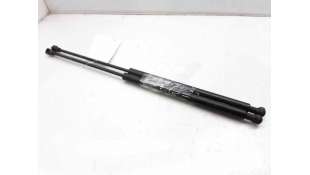 AMORTIGUADORES CAPO RENAULT VEL SATIS (2004-) 2.2 DCI (BJ0M) 113CV 2188CC - L.6213510 / 8200246092