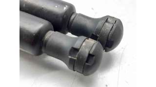 AMORTIGUADORES CAPO RENAULT VEL SATIS (2004-) 2.2 DCI (BJ0M) 113CV 2188CC - L.6213510 / 8200246092