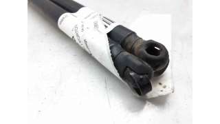 AMORTIGUADORES MALETERO / PORTON RENAULT SCÉNIC II (2003-2006) 1.9 DCI (JM0G, JM12, JM1G, JM2C) 120CV 1870CC - L.6221343 / 