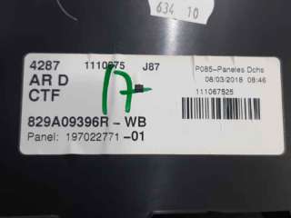 GUARNECIDO PUERTA TRASERA DERECHA RENAULT CAPTUR (2016-) 1.2 TCE 120 118CV 1197CC - L.6223156 / 829A09396R