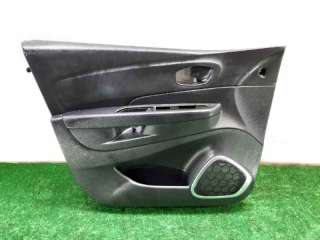 GUARNECIDO PUERTA DELANTERA IZQUIERDA RENAULT CAPTUR (2016-) 1.2 TCE 120 118CV 1197CC - L.6233940 / 809011849R