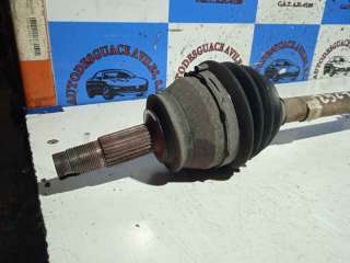 PILOTO TRASERO IZQUIERDO FORD FOCUS II (2005-2012) 1.6 TDCI 90CV 1560CC - L.6253528 / 8M5113405AB