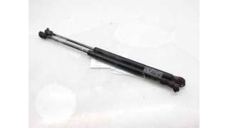 AMORTIGUADORES MALETERO / PORTON CITROEN C3 I (2002-) 1.4 HDI 68CV 1398CC - L.6272773 / 8731G3