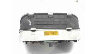 CUADRO INSTRUMENTOS OTROS VEHICULOS - L.6284437 / 284254209902N