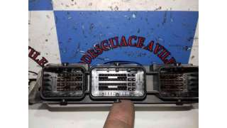 PILOTO TRASERO IZQUIERDO OTROS VEHICULOS - L.6284526 / 6546451