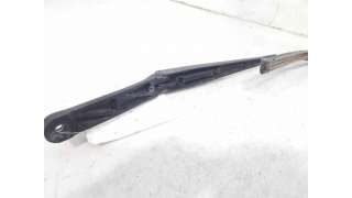 BRAZO LIMPIA DELANTERO IZQUIERDO VOLKSWAGEN PASSAT VARIANT (2010-2014) 1.6 TDI 105CV 1598CC - L.6318107 / 3C1955409C
