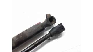 AMORTIGUADORES MALETERO / PORTON CITROEN XANTIA (1993-2003) 1.9 TURBO D 90CV 1905CC - L.6346646 / 8731C2