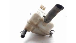 DEPOSITO EXPANSION DAEWOO KALOS (2003-) 1.2 72CV 1150CC - L.6433333 / 96536545
