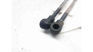 AMORTIGUADORES MALETERO / PORTON RENAULT CLIO I (1996-1996) 1.2 (B/C/S577) 54CV 1239CC - L.6438343 / 7700800311