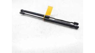 AMORTIGUADORES MALETERO / PORTON OPEL ASTRA H (2004-2010) 1.7 CDTI (L48) 100CV 1686CC - L.6483038 / 244638295133
