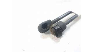 AMORTIGUADORES MALETERO / PORTON CITROEN C3 I (2002-) 1.1 I 60CV 1124CC - L.6502117 / 9639853880