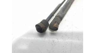 AMORTIGUADORES MALETERO / PORTON PEUGEOT 306 (1993-2003) - L.6518778 / 2936KW