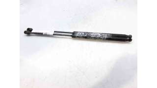 AMORTIGUADORES MALETERO / PORTON FIAT BRAVO II (2007-2014) 1.9 D MULTIJET 150CV 1910CC - L.6523534 / 51812267