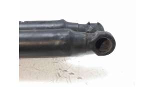 AMORTIGUADORES MALETERO / PORTON FIAT BRAVO II (2007-2014) 1.9 D MULTIJET 150CV 1910CC - L.6523534 / 51812267 2