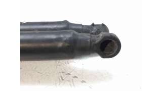 AMORTIGUADORES MALETERO / PORTON FIAT BRAVO II (2007-2014) 1.9 D MULTIJET 150CV 1910CC - L.6523534 / 51812267