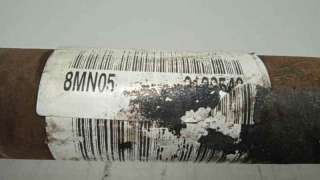 LUZ INTERIOR OTROS VEHICULOS - L.6552606 / 15485