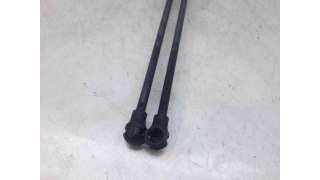 AMORTIGUADORES MALETERO / PORTON CITROEN XANTIA (1999-2003) 2.0 HDI 90 90CV 1997CC - L.6640323 / 9626058580