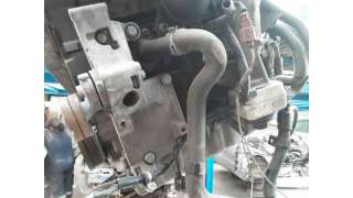 ELEVALUNAS DELANTERO DERECHO KIA SPORTAGE (2015-) 1.7 CRDI 116CV 1685CC - L.6646679 / 82480F1010