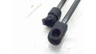 AMORTIGUADORES MALETERO / PORTON CITROEN C3 I (2002-) 1.1 I 60CV 1124CC - L.6649825 / 8731G3