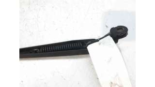 BRAZO LIMPIA DELANTERO IZQUIERDO MERCEDES-BENZ CLASE R (2009-2012) R 350 CDI 4-MATIC (251.022, 251.122) 224CV 2987CC - L.67