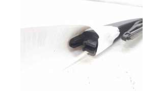 BRAZO LIMPIA TRASERO NISSAN QASHQAI II TODO TERRENO, CERRADA (2018-) 1.5 DCI 116CV 1461CC - L.6776752 / W000057536
