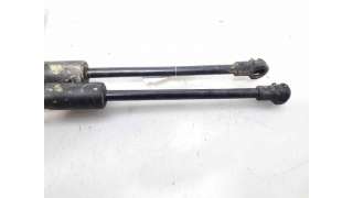 AMORTIGUADORES CAPO RENAULT TALISMAN (2015-) 1.6 DCI 130 130CV 1598CC - L.6791302 / 954700423R