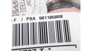 AIRBAG CORTINA DELANTERO IZQUIERDO CITROEN C3 III (2016-) - L.6795986 / 981185808