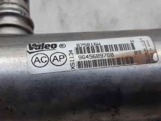 ENFRIADOR VALVULA EGR PEUGEOT 307 CC (2003-2005) 2.0 16V 136CV 1997CC - L.6813982 / 9645689780