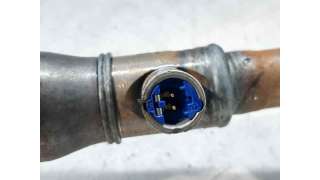 AIRBAG CORTINA DELANTERO IZQUIERDO PEUGEOT 307 (2004-2009) 1.6 HDI 110 109CV 1560CC - L.6814037 / 9653233580